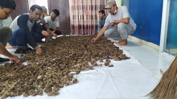 Dibantu Bibit Jahe Merah, PWI Meranti Ucapkan Terimakasih ke Kapolres