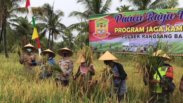 Polsek Rangsang Barat Panen Raya Padi Program Jaga Kampung