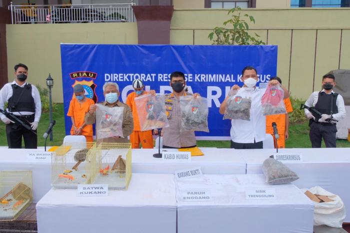 Polda Riau Bongkar Kejahatan Perdagangan Ilegal Hewan Dilindungi