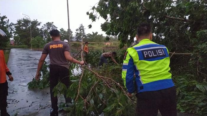 Banyak Pohon Tumbang, Wabup dan Kapolres Turun ke Lapangan Bantu Evakuasi
