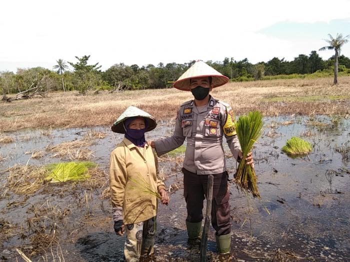 Beri Bantuan Topi Petani, Brigadir Khairi Ikut Tanam Padi di Desa Sendaur
