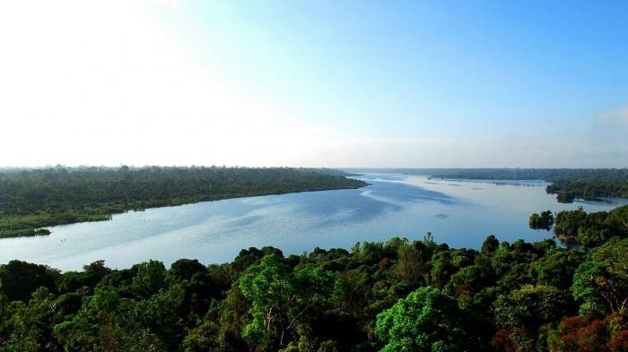 Terus Tergerus, Pemprov Riau Diminta Serius Lestarikan Cagar Biosfer Giam Siak Kecil