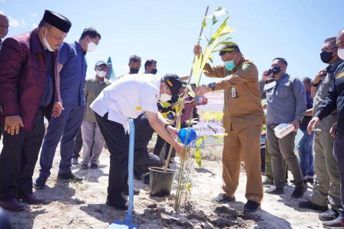 Gubri, DLHK Riau dan Gapoktan Tanam 10 Ribu Batang Bibit Aren di Rohul