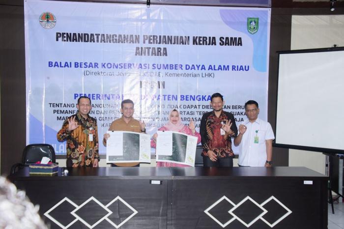 Bupati Kasmarni Tandatangani Kerjasama Dengan Kepala BKSDA Riau
