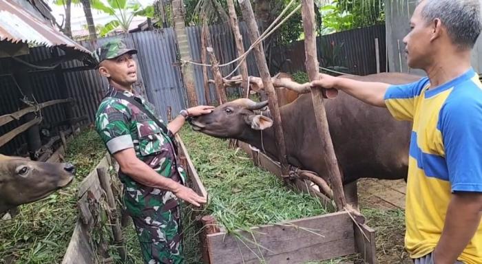 Babinsa Koramil 02/Tebing Tinggi Sertu M Amry Pantau PMK Hewan di Desa Bima Maju