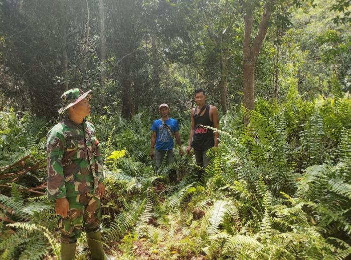 Babinsa Koramil 02/Tebing Tinggi Serda Muslim Gencar Laksanakan Patroli Karhutla
