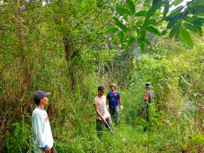 Babinsa Serda Amsaya Gencar Laksanakan Patroli Karhutla di Wilayah Desa Mantiasa