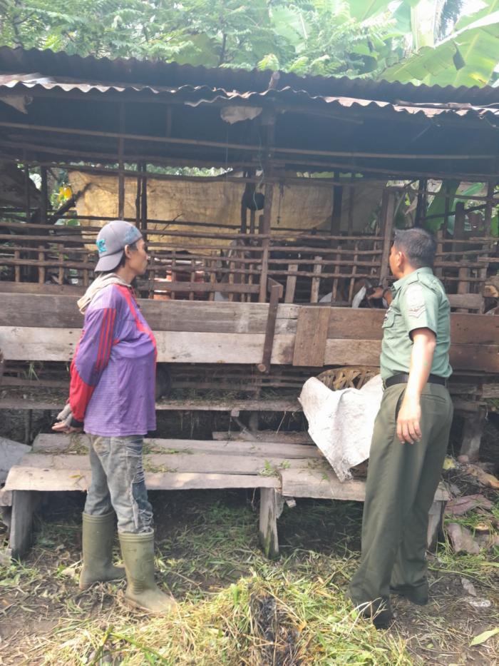 Babinsa Koptu Yudha Kunjungi Peternak Kambing di Selatpanjang