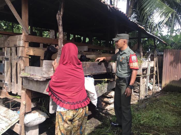 Babinsa Pratu Angga Pebrihadi Lakukan  Pencegahan PMK di Selatpanjang