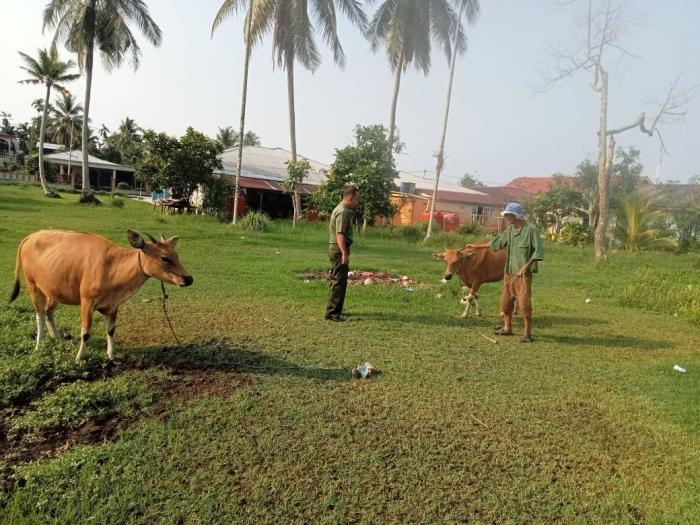 Koptu Muherli Lakukan Pemantauan Hewan Ternak di Selatpanjang 