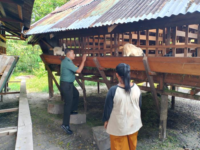 Babinsa Pos Ramil Rangsang Cegah PMK di Desa Tanjung Samak