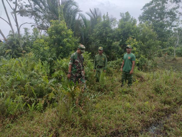 Cegah Karhutla, Serda Prayetno Ajak Masyarakat Lakukan Patroli