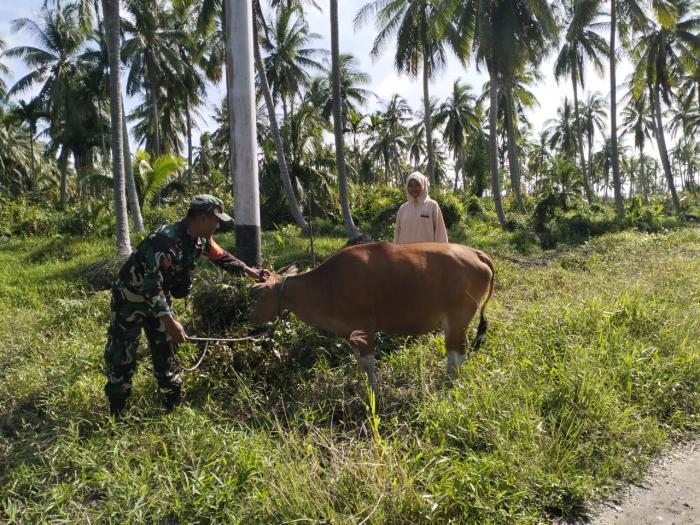 Koptu Masran Lakukan Pemantauan Hewan Ternak di Desa Sungai Gayung Kiri