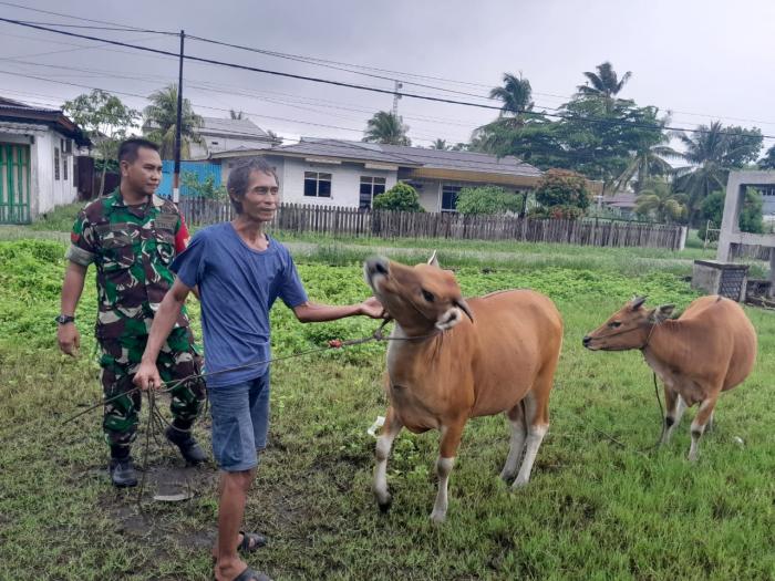 Koptu Yudha Lakukan Pemantauan Hewan Ternak di Desa Sialang Pasung