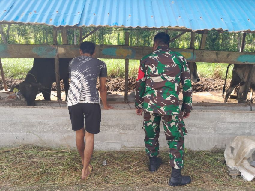 Babinsa Koptu Yudha Pratama Temui Peternak Sapi di Desa Lemang