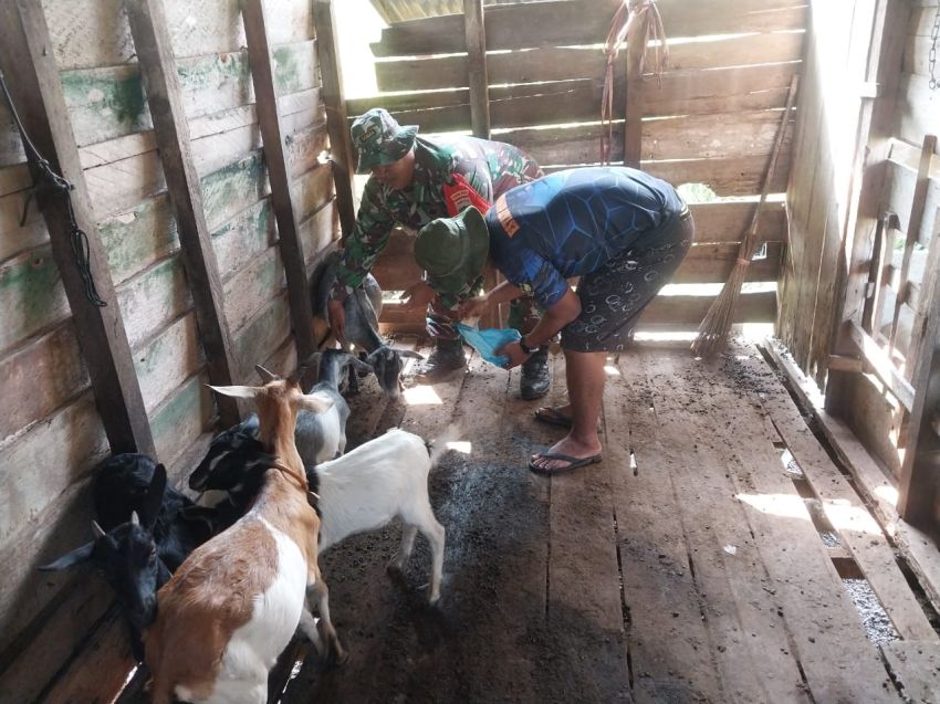 Cegah PMK, Serka Subar Temui Peternak Kambing di Desa Repan
