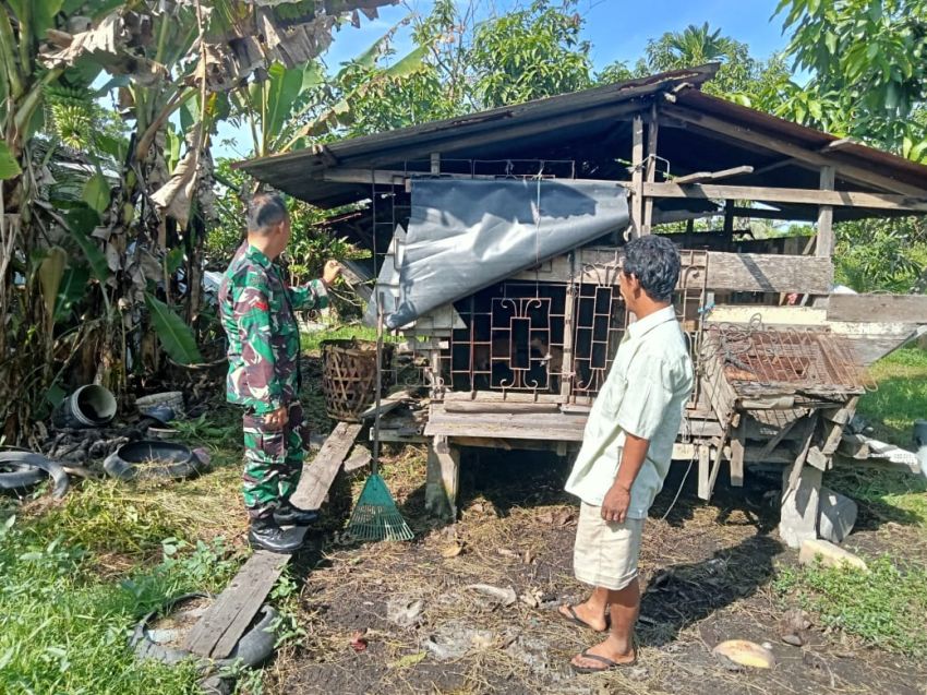 Koptu Muherli Terus Lakukan Pemantauan Hewan Ternak di Desa Binaan