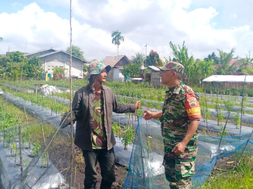 Babinsa Sertu Pardin Paramay Temui Petani Cabe di Desa Banglas