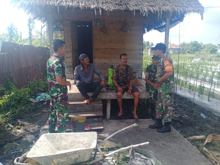Babinsa Koramil 02 Tebingtinggi Monitoring Ketahanan Pangan di Wilayah Binaan