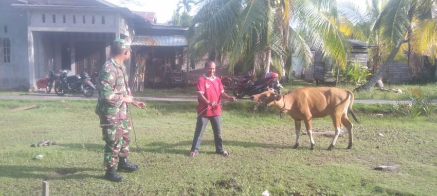 Upaya Cegah PMK, Serda Supriadi Pantau Ternak Sapi di Desa Wonosari
