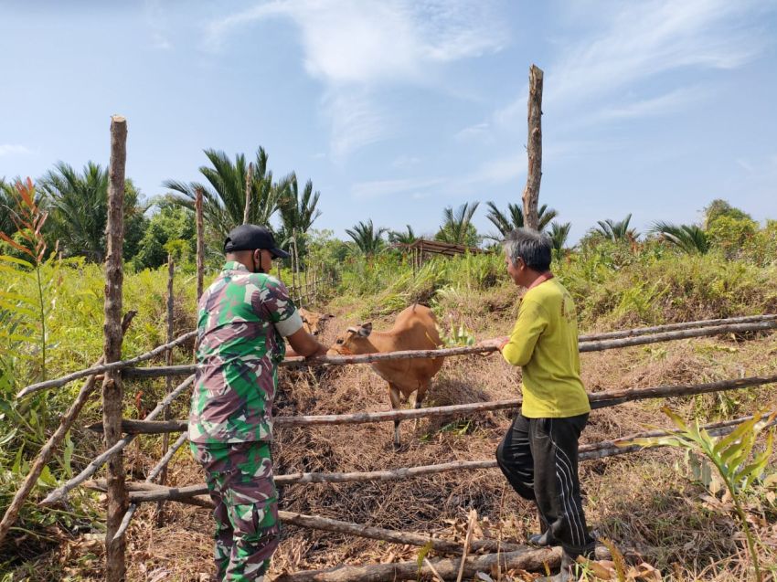 Serda Eka Rapis Aktif Lakukan Pemantauan PMK Hewan di Desa Lukun