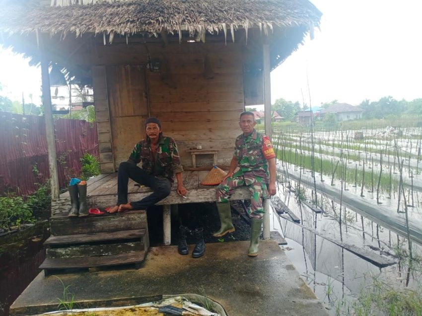 Tingkatkan Ketahanan Pangan, Babinsa Sertu Pardin Paramay Suluh Pertanian