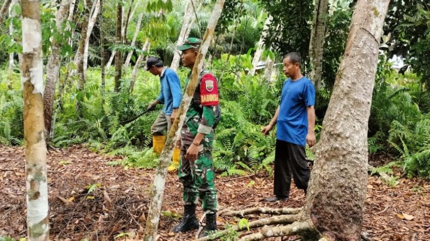 Babinsa Serda Nauval Gencar Lakukan Patroli Cegah Karhutla