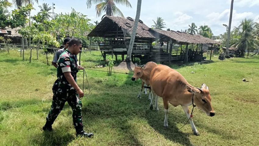 Babinsa Pratu Rizki Nurdiansyah Temui Peternak Sapi di Desa Banglas