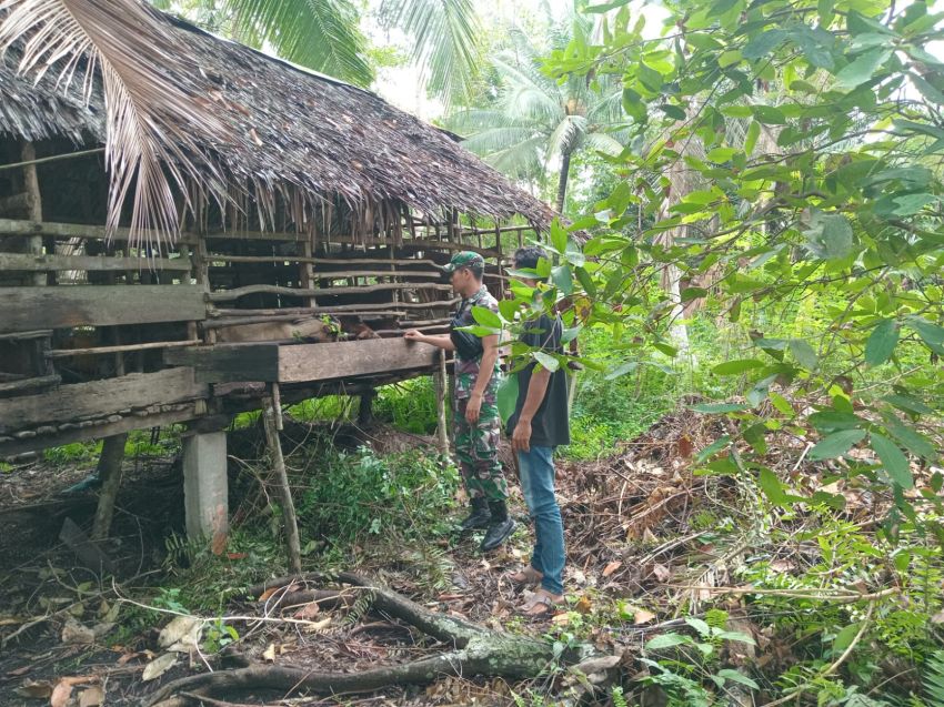 Babinsa Pratu Edwar Monitoring Ternak Warga Desa Citra Damai