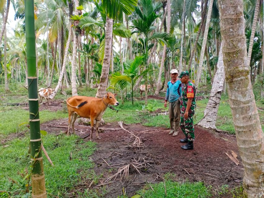 Serda Zulkarnaen Harahap Monitoring  Ternak Warga di Wilayah Binaan