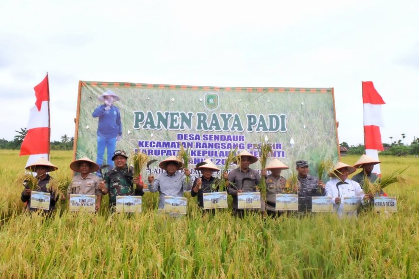 Plt Bupati Asmar Panen Raya Padi di Desa Sendaur