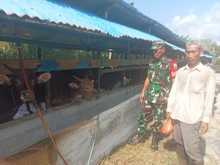 Kopda Andri Sunaryo Aktif Pantau Pantau Ternak Sapi Warga Guna Cegah PMK