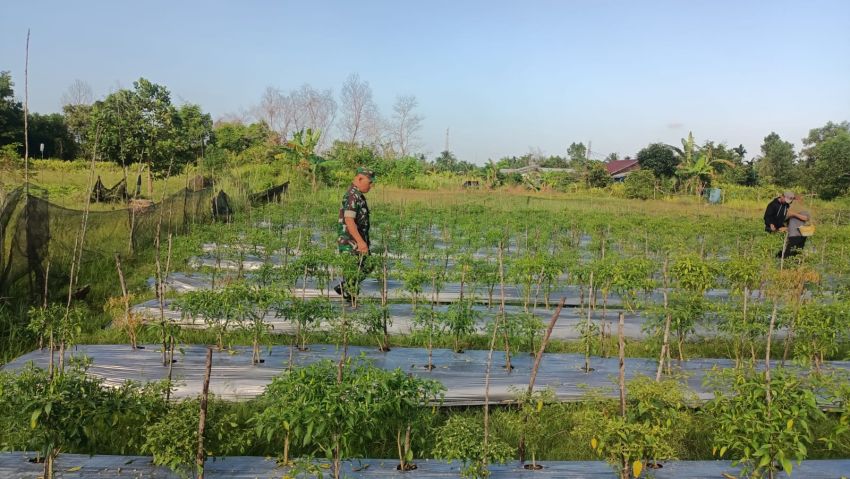 Lakukan Pendampingan, Serka Rayen Temui Petani Binaan di Desa Banglas