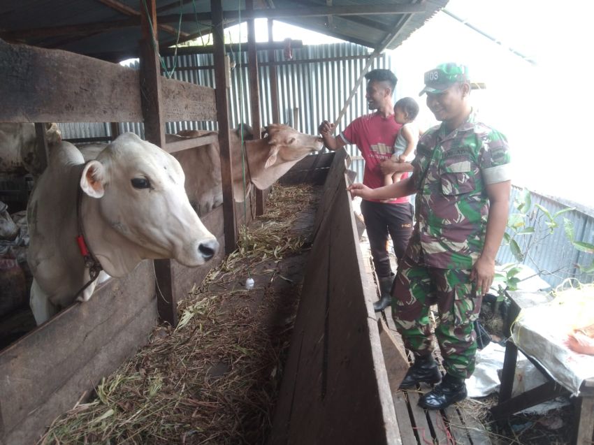 Serda Supriadi Lakukan Komsos Sambil Pantau Ternak Warga di Desa Binaan