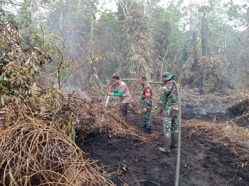 Babinsa Bersama Tim Gabungan Berjibaku Lakukan Pedinginan Lokasi Kebakaran Kebun Sagu di Desa Mantiasa