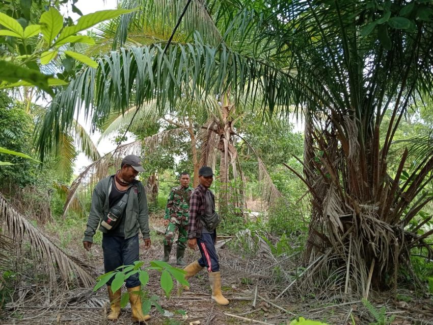Serka A Harianja Bersama Kadus Lakukan Patroli Karhutla di Telesung