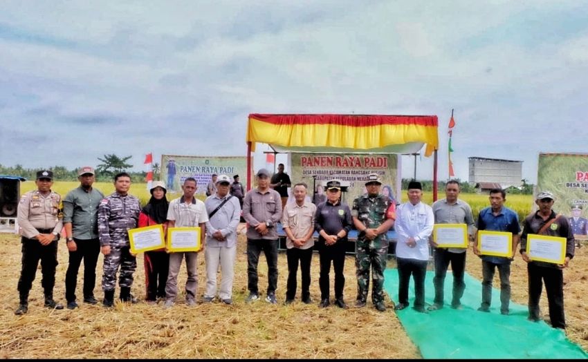 Bersama Plt Bupati, Anggota DPRD Meranti Ikut Panen Raya Padi di Desa Sendaur