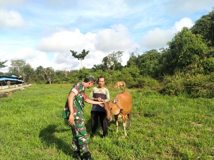 Cegah PMK, Kopda Sukarman Temui Peternak Sapi di Tenggayun Raya