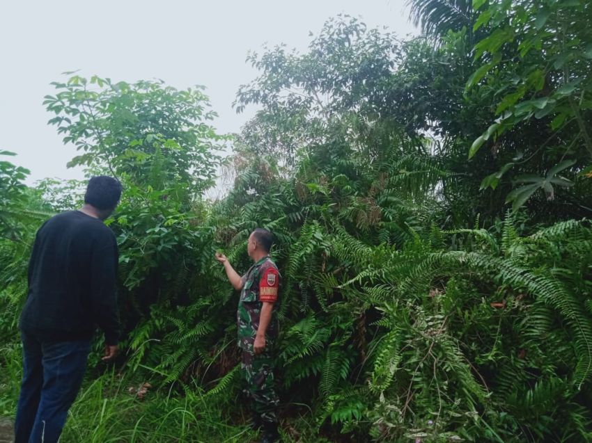 Koptu Muherli Bersama MPA Rutin Lakukan Patroli Cegah Karlahut