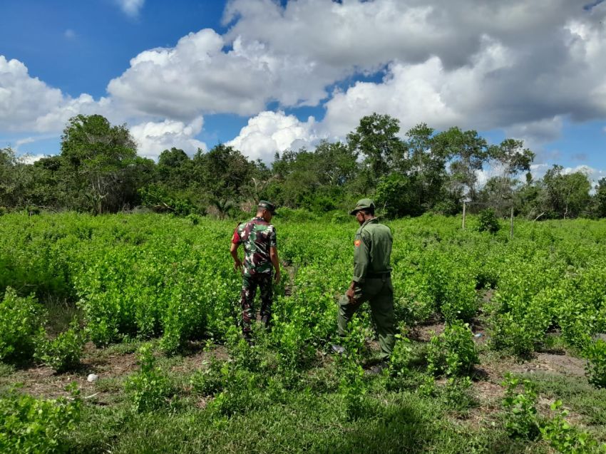 Patroli Cegah Karlahut, Pratu Prayoga Situmorang Bersama Linmas Sisir Titik Rawan