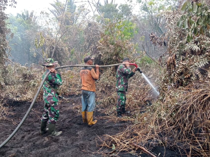 Kebakaran Lahan di Desa Mantiasa, Tim Gabungan Lakukan Pedinginan Agar Tidak Meluas