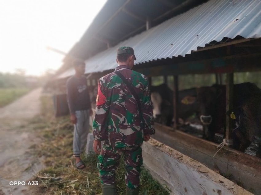 Temui Peternak Sapi, Kopda Sukarman Sosialisasikan Tentang Pencegahan PMK