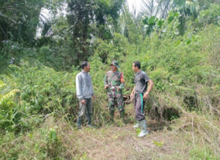 Patroli Cegah Karlahut, Serda Amsyaya Bersama Warga Insit Kembali Sisir Titik Rawan