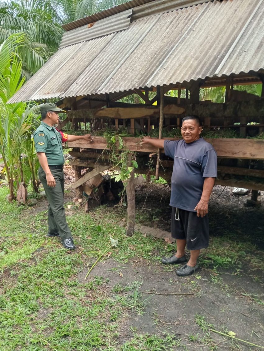 Upaya Cegah PMK, Serda Imam Subarkah Kunjungi Peternak Kambing di Desa Topang