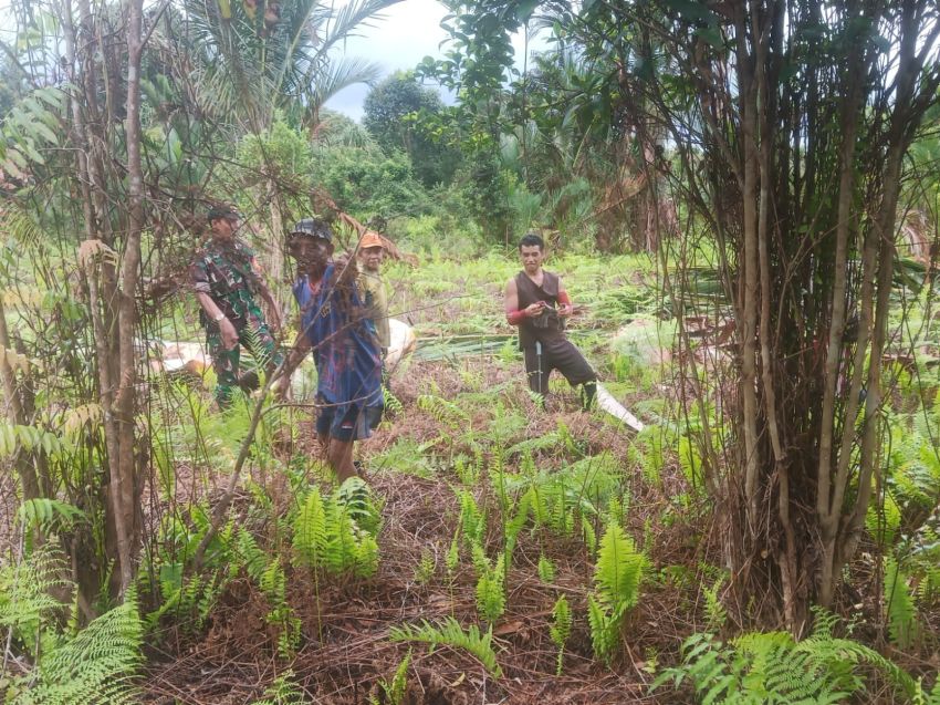 Babinsa Serda Suprayitno Bersama MPA Desa Mengkikip Lakukan Patroli Cegah Karlahut