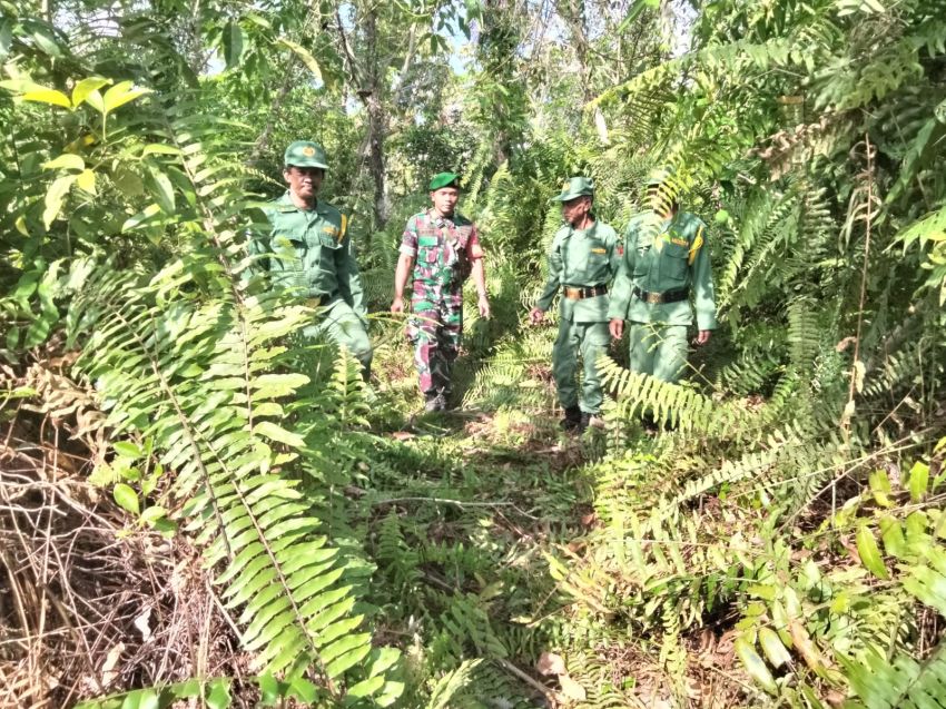 Babinsa Serda Lasidi Ajak Linmas Patroli Cegah Karlahut di Desa Sonde
