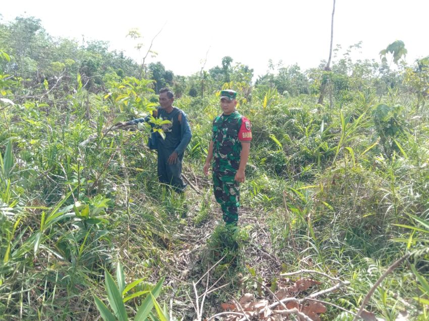 Patroli Bersama Warga Desa Binaan, Praka Agam Iskandar : Desa Sungai Cina Aman, Tidak Ada Titik Api