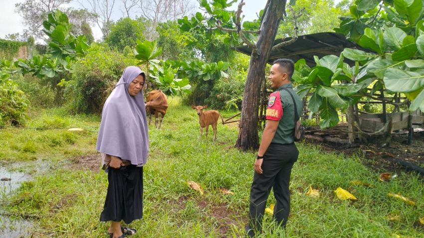 Pratu Diki Hidayat Sosialisasi PMK ke Peternak Sapi di Desa Sialang Pasung