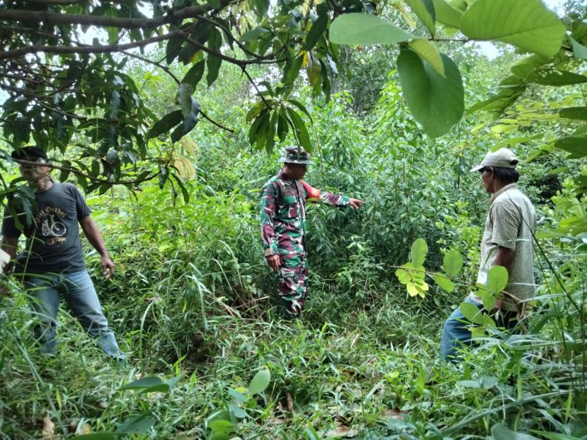 Babinsa Serda Lasidi Patroli Sambil Sosialisasi Karlahut di Desa Sonde