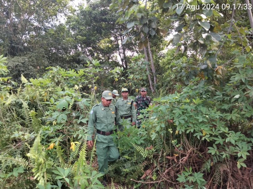 Serda Lasidi Bersama Linmas Desa Kayu Ara Sisir Titik Rawan Karhutla
